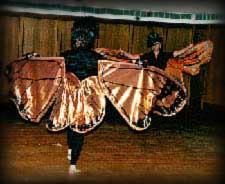 Dancing butterflies