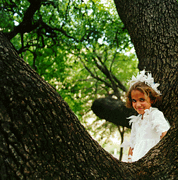 Child in tree