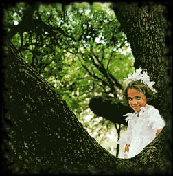 Opal in the arms of her grand tree Michael Raphael